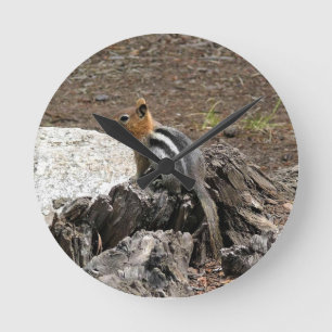 Chipmunk in Yosemite, California Runde Wanduhr