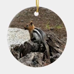 Chipmunk in Yosemite, Kalifornien Keramik Ornament
