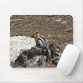 Chipmunk in Yosemite, Kalifornien Mousepad (Mit Mouse)