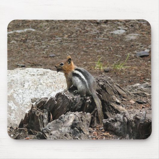 Chipmunk in Yosemite, Kalifornien Mousepad (Vorne)
