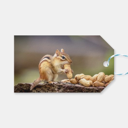 Chipmunk isst Erdnuss Geschenkanhänger (Vorderseite (Horizontal))