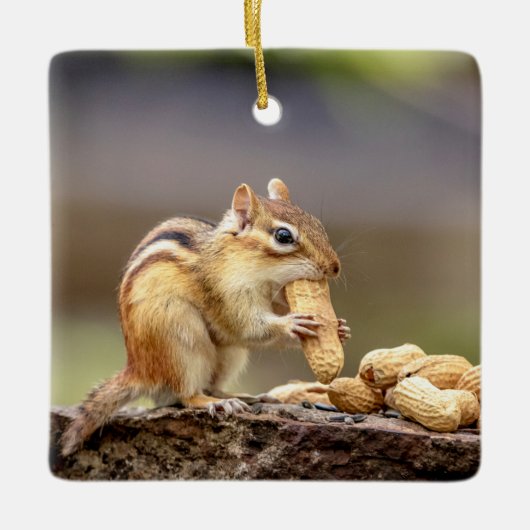 Chipmunk isst Erdnuss Keramikornament (Vorderseite)