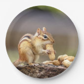 Chipmunk isst Erdnuss Pappteller (Vorderseite)