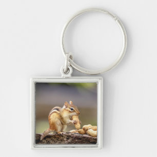 Chipmunk isst Erdnuss Schlüsselanhänger