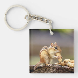 Chipmunk isst Erdnuss Schlüsselanhänger