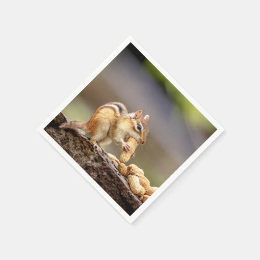 Chipmunk isst Erdnuss Serviette (Ecke)