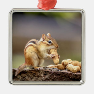 Chipmunk isst Erdnuss Silbernes Ornament