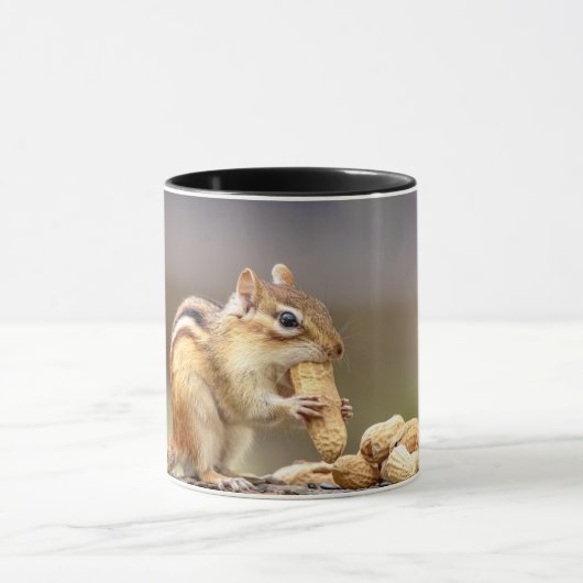 Chipmunk isst Erdnuss Tasse (Zentrum)
