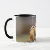 Chipmunk isst Erdnuss Tasse (Links)