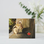 Chipmunk isst Pilze Postkarte (Stehend Vorderseite)
