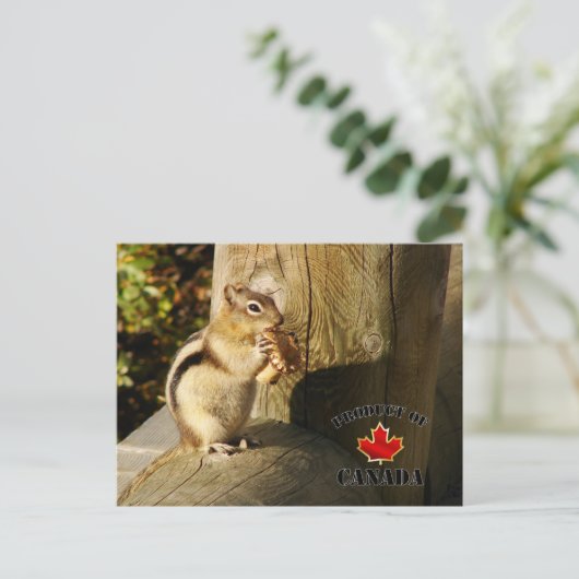 Chipmunk isst Pilze Postkarte (Stehend Vorderseite)