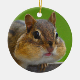 Chipmunk ist voll keramikornament