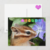 Chipmunk , JAPAN-Träger Postkarte (Vorne/Hinten)