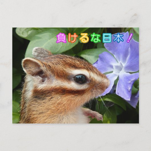 Chipmunk , JAPAN-Träger Postkarte (Vorderseite)