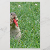 Chipmunk.JPG Briefpapier (Vorderseite)