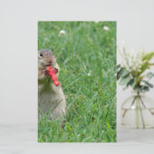 Chipmunk.JPG Briefpapier (Stehend Vorderseite)