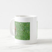 Chipmunk.JPG Kaffeetasse (Vorderseite Links)