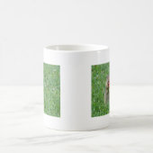 Chipmunk.JPG Kaffeetasse (Mittel)
