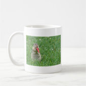 Chipmunk.JPG Kaffeetasse (Links)