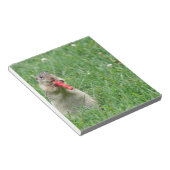 Chipmunk.JPG Notizblock (angewinkelt)