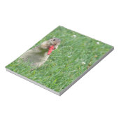 Chipmunk.JPG Notizblock (Rotiert)