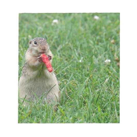 Chipmunk.JPG Notizblock (Vorderseite)