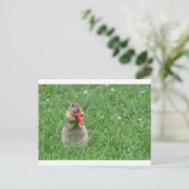 Chipmunk.JPG Postkarte (Stehend Vorderseite)