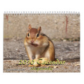 Chipmunk-Kalender 2010 Kalender (Titelbild)