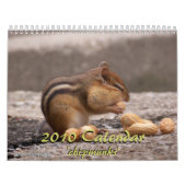 Chipmunk-Kalender 2010 Kalender (Titelbild)