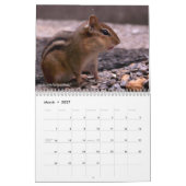 Chipmunk-Kalender 2010 Kalender (Mär 2027)