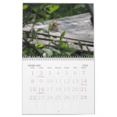 Chipmunk-Kalender Kalender (Feb 2026)