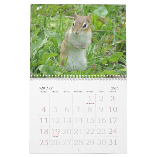Chipmunk-Kalender Kalender (Jan 2026)