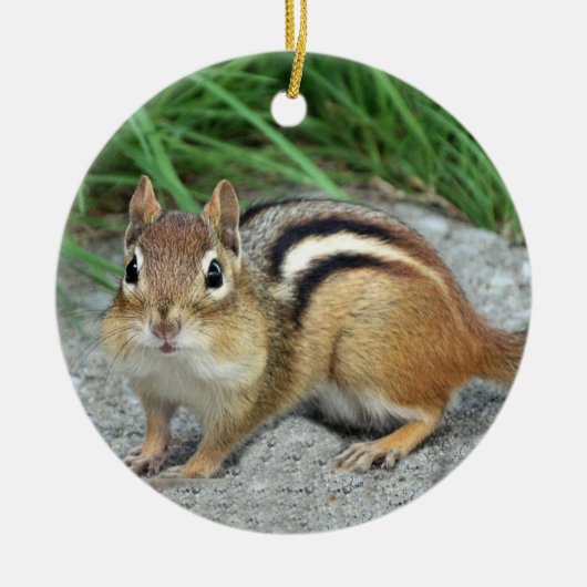 Chipmunk Keramik Ornament (Vorne)