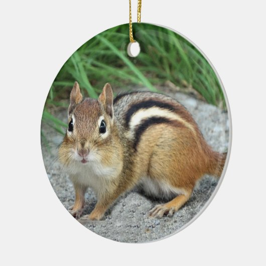 Chipmunk Keramik Ornament (Links)