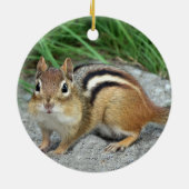 Chipmunk Keramik Ornament (Hinten)