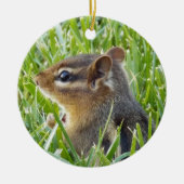 Chipmunk Keramik Ornament (Vorne)