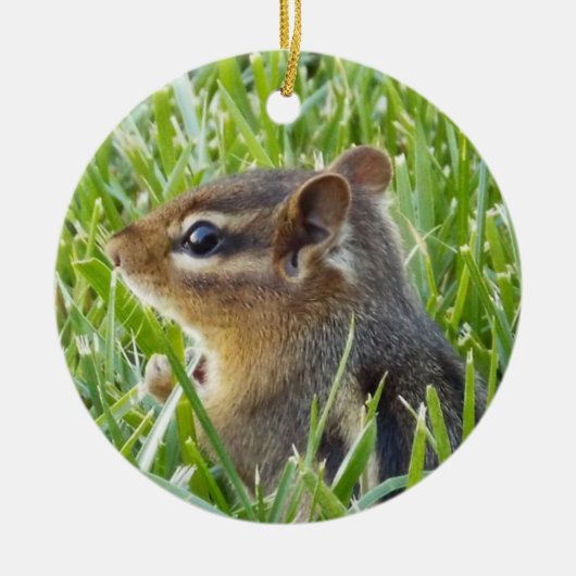 Chipmunk Keramik Ornament (Vorne)