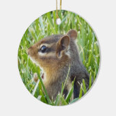 Chipmunk Keramik Ornament (Links)
