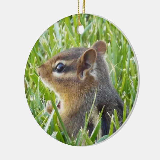 Chipmunk Keramik Ornament (Links)
