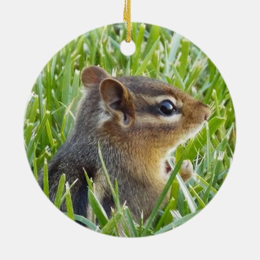 Chipmunk Keramik Ornament (Hinten)