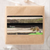 Chipmunk-Klettertreppen (Insitu)