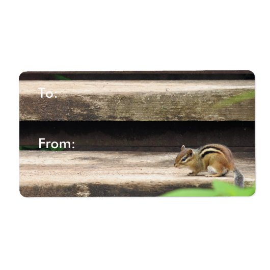 Chipmunk-Klettertreppen (Vorne)