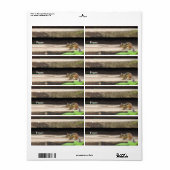 Chipmunk-Klettertreppen (Vorne)