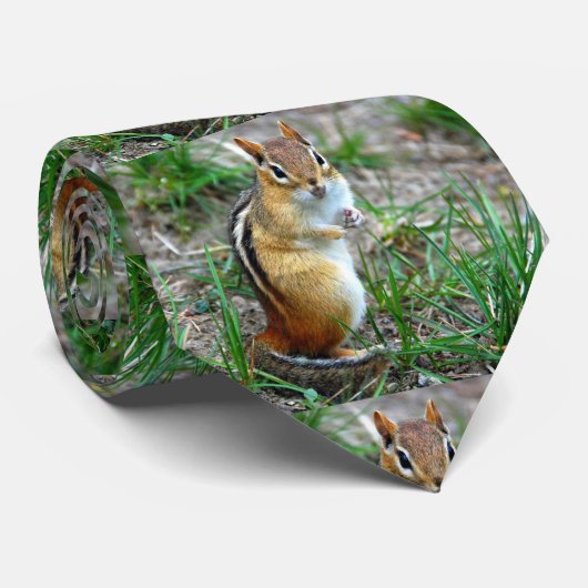 Chipmunk Krawatte (Gerollt)