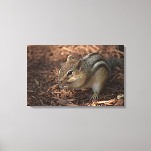 Chipmunk Leinwanddruck (Vorderseite)