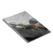 Chipmunk Lunch Notizblock (Rechte Seite)