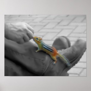 Chipmunk Lunch Poster