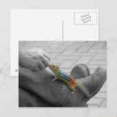 Chipmunk Lunch Postkarte (Vorne/Hinten)