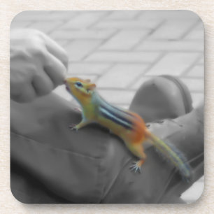 Chipmunk Lunch Untersetzer