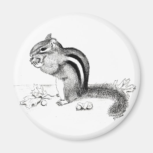 Chipmunk Magnet (Vorne)